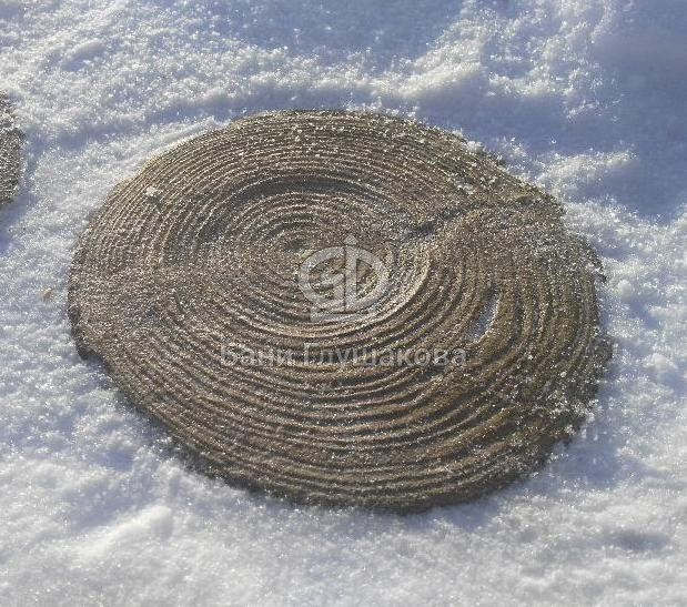 Маленькая тротуарная плитка пенек и форма из полиуретана